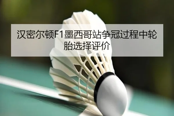 汉密尔顿F1墨西哥站争冠过程中轮胎选择评价